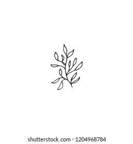 Vector floral hand drawn logo element in elegant and minimal style. Isolated object, branch with leaves. Black on white illustration. For badges, labels, logotypes and branding business identity.