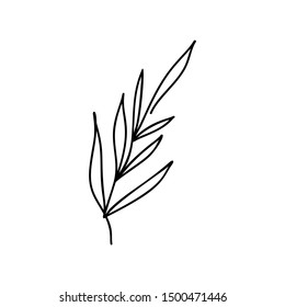 Vector floral hand drawn logo element in elegant and minimal style. Isolated object, branch with leaves. illustration for badges, label logotypes