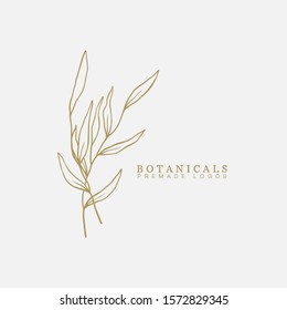 Vector floral hand drawn logo template in elegant and minimal style with gold color on grey background illustration. For badges, labels, logotypes and branding business identity.
