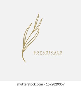 Vector floral hand drawn logo template in elegant and minimal style with gold color on grey background illustration. For badges, labels, logotypes and branding business identity.