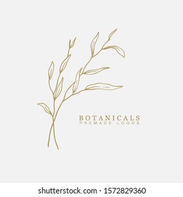 Vector Floral Hand Drawn Logo Template In Elegant And Minimal Style With Gold Color On Grey Background Illustration. For Badges, Labels, Logotypes And Branding Business Identity.