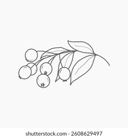 Vector floral hand drawn logo template in elegant and minimal style with black color on grey background illustration. For badges, labels, logotypes and branding business identity.