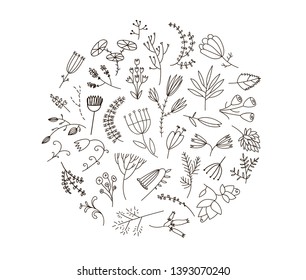 Vector Floral and herbal set. Graphic collection with field herbs. Hand drawn decor elements. Botanical elements for design isolated