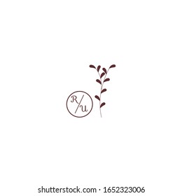 Vector floral icons and logo design templates isolated on white background