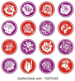 vector floral icons on white background. Vector illustration