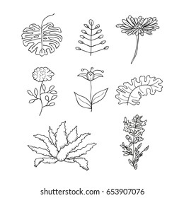 Vector floral illustration 