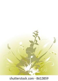 vector floral illustration