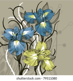 vector floral  illustration of blooming irises