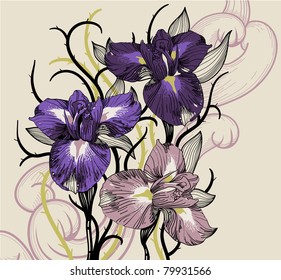 vector floral illustration of blooming irises