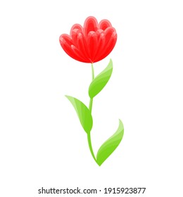 Vector floral illustration design with watercolor effect isolated on white background. can be used in printing t-shirt, mug and other things.