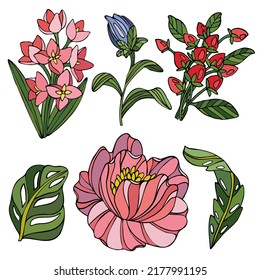 Vektorgrafik mit Blumen, handgezeichnete Blumen und Blätter einzeln auf weißem Hintergrund. 