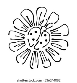 Vector floral illustration with ladybug on the flower, dandelion with insect isolated on the white background Hand drawn contour lines and strokes Doodle style, graphic vector illustration.
