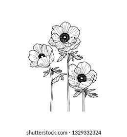 Poppies Line Drawn On White Background Stock Vector (Royalty Free ...