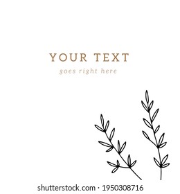 Vector floral illustration, minimalistic square background template. Hand drawn branches with leaves. Simple illustration, isolated object. For social media feed, for branding and business identity.