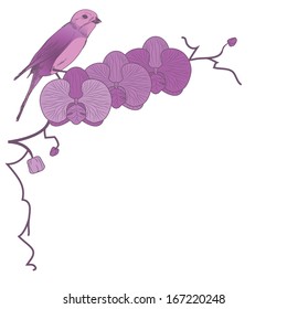 vector floral  illustration of orchid and bird