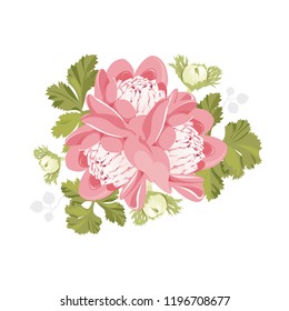 Vector floral illustration. Pink anemones, buds, blossoming flowers, leaves, berries. Delicate Bouquet to the invitations.