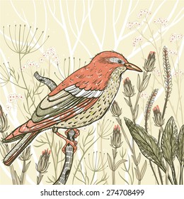 vector floral illustration of a redheaded bird and wild herbs