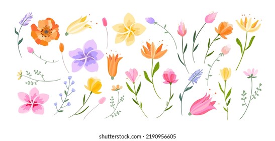 Vector floral illustration. Set of leaves, wildflowers, twigs, floral arrangements. Beautiful compositions of field grass and bright spring flowers.