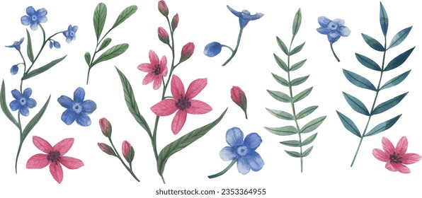 Vector floral illustration. Spring flowers, forget me not isolated in watercolor style. Handmade flowers for wedding anniversary, birthday, invitations ahd postcards. Isolated clipart.