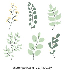 Ilustración vectorial floral. Hojas de primavera y verano y bayas