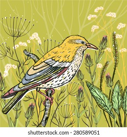 vector floral illustration of a yellow bird and blooming summer plants