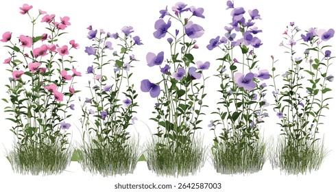 Vector floral illustrations, naturally blooming flowers set, transparent background, nature artwork, vibrant spring blooms, botanical designs, colorful flower graphics