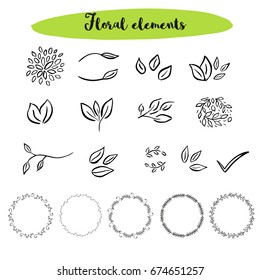 Vector floral with leaves, branches, circle plant elements isolated on white background.