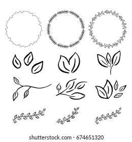 Vector floral with leaves, branches, circle plant elements isolated on white background.