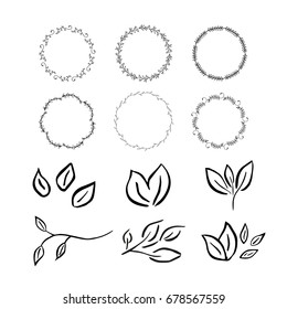 Vector floral with leaves, branches, circle plant elements isolated on white background.