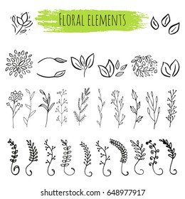 Vector floral con hojas, ramas, elementos vegetales aislados sobre fondo blanco.