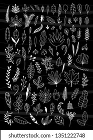 Vector floral leaves set on black background. Hand sketched outline botanical elements