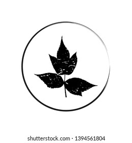 Vector floral logo. Botanical illustration  with isolated  destroyed silhouette on white background. Graphic design for 
card, web banner, poster or invitation.