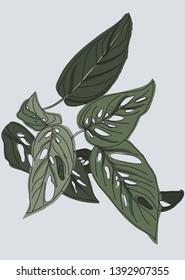 vector floral monkey mask illustration