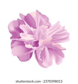 Vector floral on white background design.