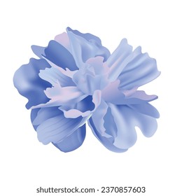 Vector floral on white background design.