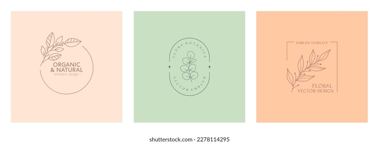 Emblemas orgánicos vectoriales florales.Diseños de logotipo natural con ramas y marcos de eucalipto lineales.Insignias ecológicas o biográficas modernas de estilo minimalista moderno.Modelos de diseño de marca.