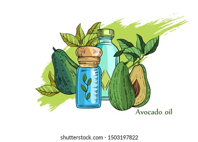 Vector floral organic illustration “Essential Oils” with cream, bottle and avocado on brushstroke background. Hand drawn illustration in engraving style for sale or advertisement of natural products