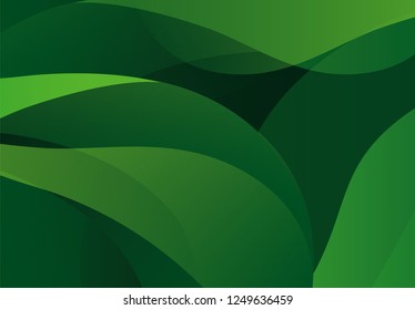 vector floral ornament