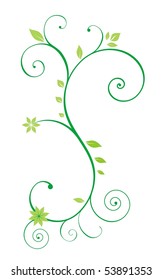 vector floral ornament