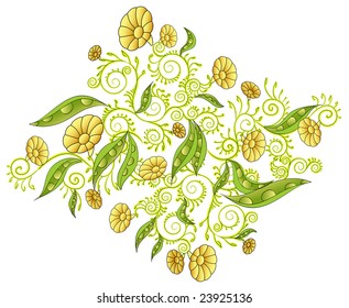 Vector, Floral ornament with beans
