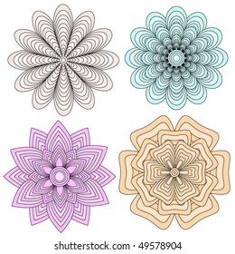 Vector Floral Ornaments