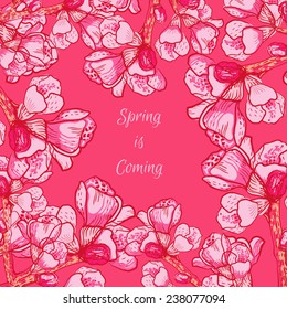 vector floral pattern background. spring flowers design for greetings, cards, invitations. colorful backdrop
