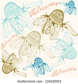 Vector Floral pattern with color camomile flowers and words.
