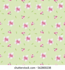 Vector floral pattern  with flowers and leaves. Gentle, spring floral background.