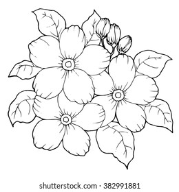 Vector floral pattern. Vector illustration with  flowers  for the design of posters, invitations, greetings, flyers and antistress pictures for coloring