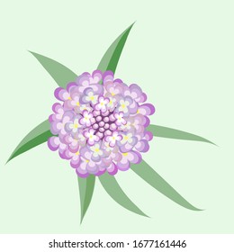 Flor vectorial de albañil estilizado color rosa en tonos pastel sobre un fondo claro.
