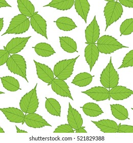 Vector floral pattern with raspberry leaves