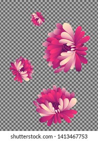 Vector  floral pattern of  red and blue chrysanthemums on white background in Japanese graphic style.