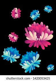 Vector  floral pattern of  red and blue chrysanthemums on white background in Japanese graphic style.