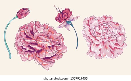 Vector Floral Peony Element Pack